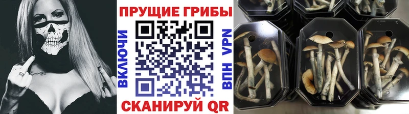 Галлюциногенные грибы ЛСД  Грайворон 